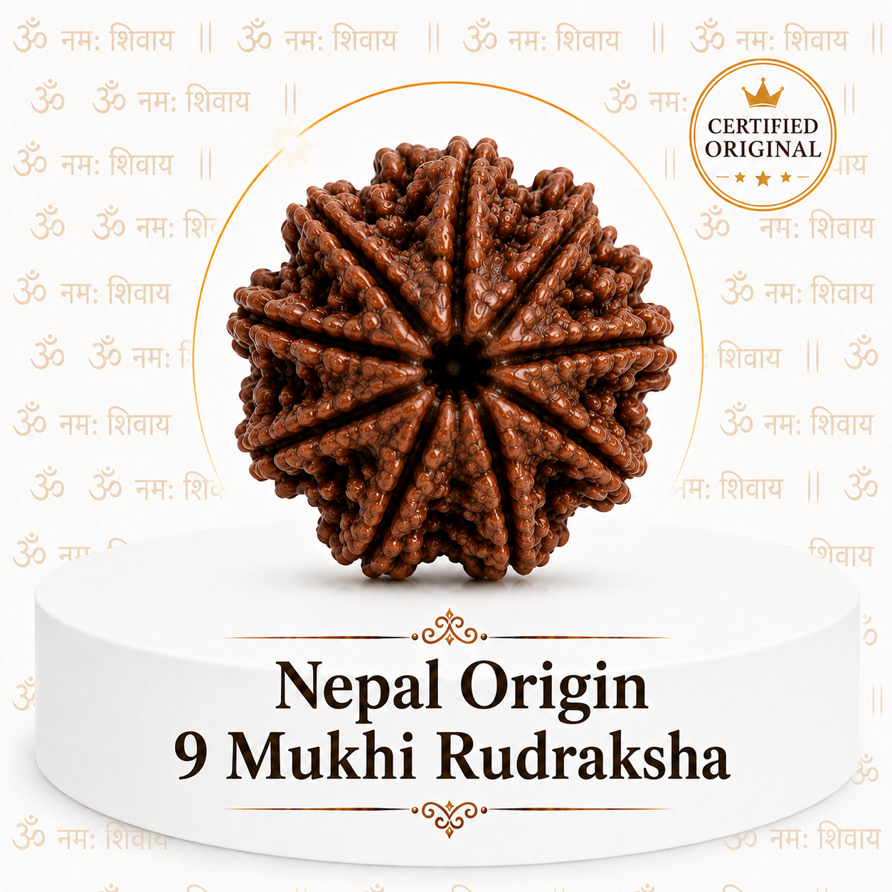 9 Mukhi Rudraksha ( Nepal Origin )
